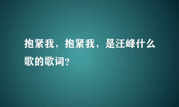 抱紧我，抱紧我，是汪峰什么歌的歌词？