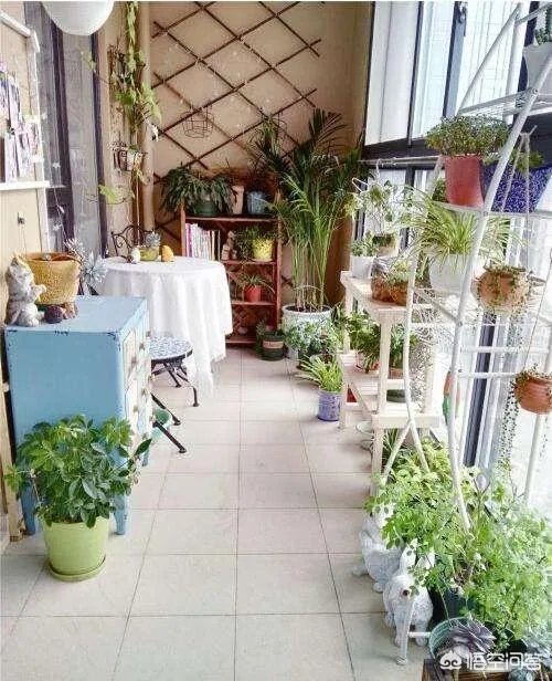 长方形的小阳台怎么打造小花园？