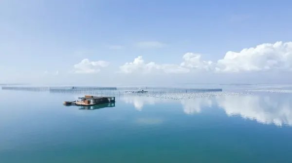 网红海上酒店已停用并被拖离海域,原因是什么?