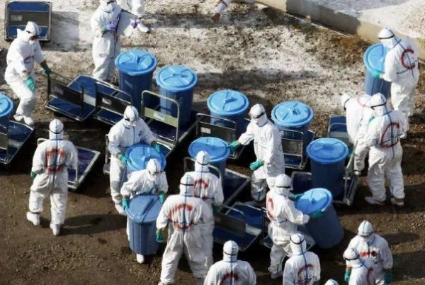 纽约州长称80%病例都能自愈,是否这就是美国放任疫情不严格管控的原因?