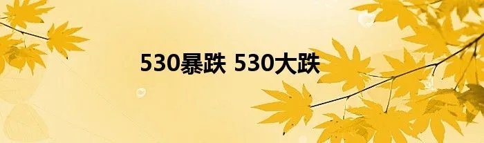 530暴跌 530大跌