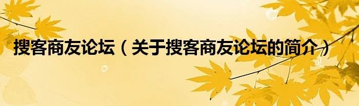 搜客商友论坛（关于搜客商友论坛的简介）