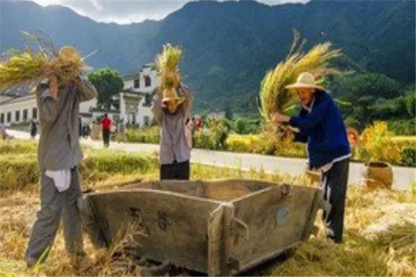 电商助力农民收入实现翻番，电商为何有这能力？