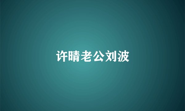 许晴老公刘波