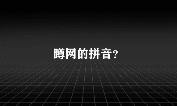 蹲网的拼音？