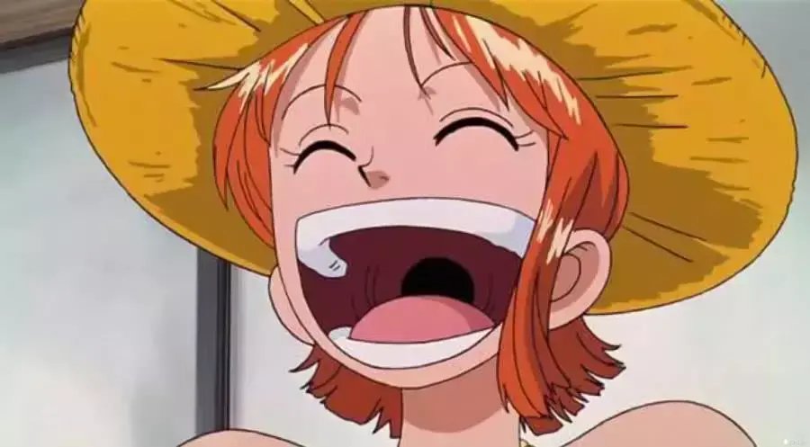 海贼王hental 娜美本子(最活跃的4个海贼王女性)