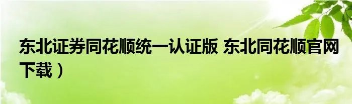 东北证券同花顺统一认证版 东北同花顺官网下载）