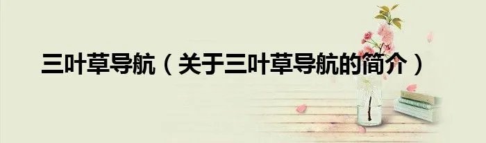 三叶草导航（关于三叶草导航的简介）