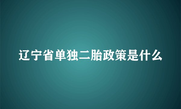 辽宁省单独二胎政策是什么