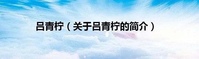 吕青柠(关于吕青柠的简介)