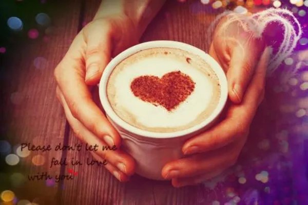 沈清辞柳云戟免费阅读 沈清辞柳云戟小说