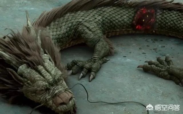 贵州回应山里有“龙吟”，世界上真的有龙的存在吗？