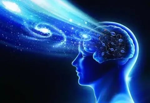 首次证明人脑细胞在体外也有智力，可能会开启哪些新的可能？