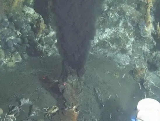 蛟龙号看见了什么 蛟龙号马里亚纳海沟6699米处抓拍