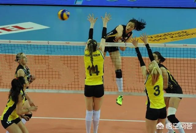 有人说朱婷下赛季回国参加排超联赛肯定会加盟一支有资格打世俱杯的球队，你怎么看？