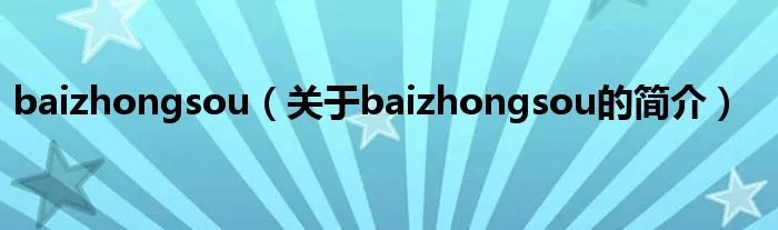 baizhongsou（关于baizhongsou的简介）