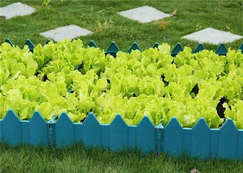 屋顶菜园自制步骤有哪些