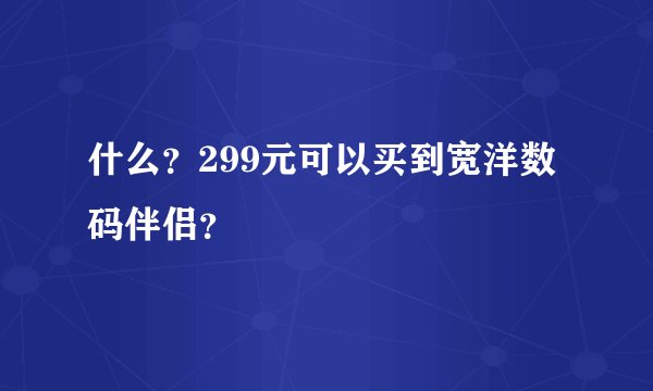 什么?299元可以买到宽洋数码伴侣?
