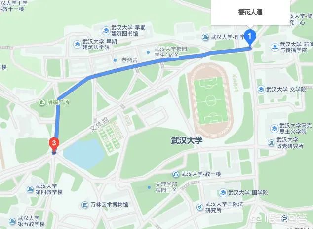 男子武大校园剧烈摇动樱花树，如何有效制止此类行为？