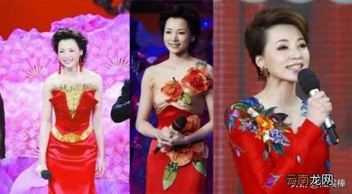 令人惊艳的春晚主持人服装 春晚主持人服装