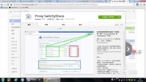 proxy switchysharp怎么用