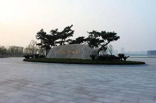 太仓天镜湖大蛇是真是假