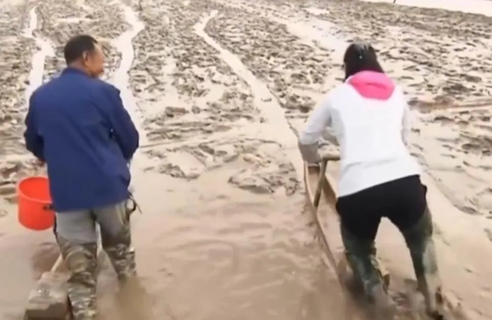 泥马是什么意思？是一种抓小海鲜的工具