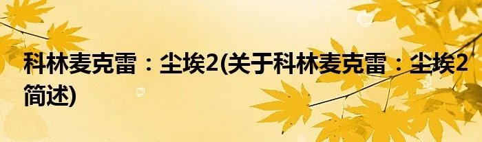 科林麦克雷：尘埃2(关于科林麦克雷：尘埃2简述)