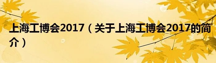 上海工博会2017(关于上海工博会2017的简介)