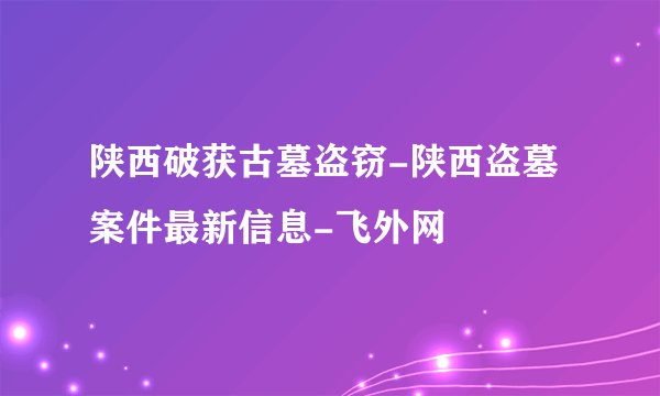 陕西破获古墓盗窃-陕西盗墓案件最新信息-飞外网
