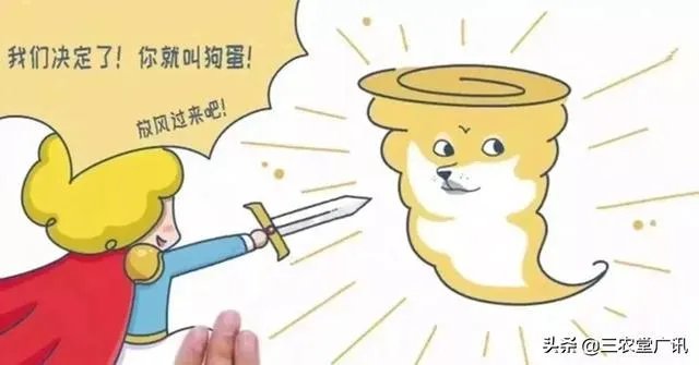 台风“利马奇”登陆我国,对农业造成影响,台风名字是谁给起的?台风名字怎么这么奇怪?