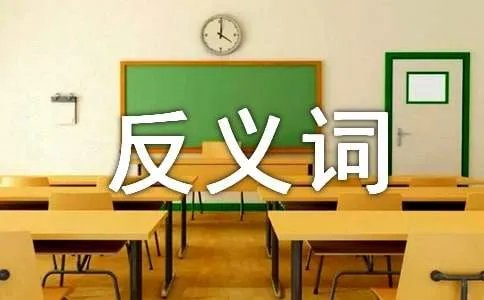 精致的反义词是什么