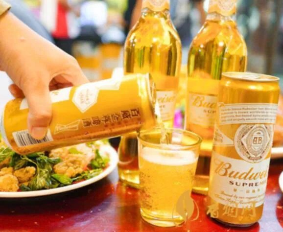 百威金尊啤酒500ml价格多少 百威金尊啤酒怎么样好喝吗