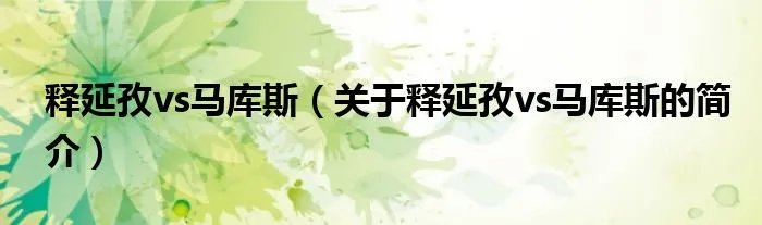 释延孜vs马库斯（关于释延孜vs马库斯的简介）