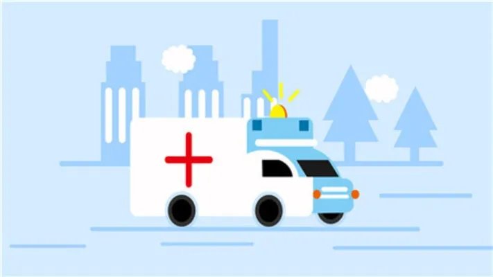 蜂王胎的作用与功效