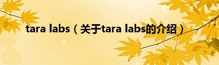 tara labs（关于tara labs的介绍）