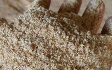 观音灵签第二十七签 刘基谏主