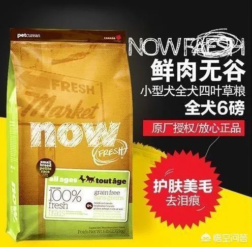 哈士奇吃什么狗粮好?