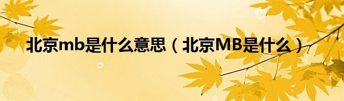 北京mb是什么意思（北京MB是什么）