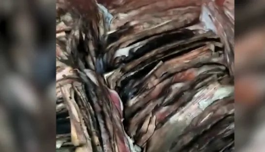 58岁男子意外点燃60万现金 这60万都是辛苦攒下来的