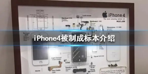 iPhone4被制成标本是怎么回事 iPhone4被制成标本介绍