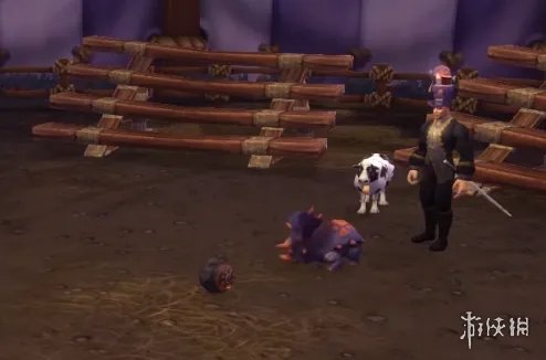 《魔兽世界》暗月马戏团宠物对战攻略