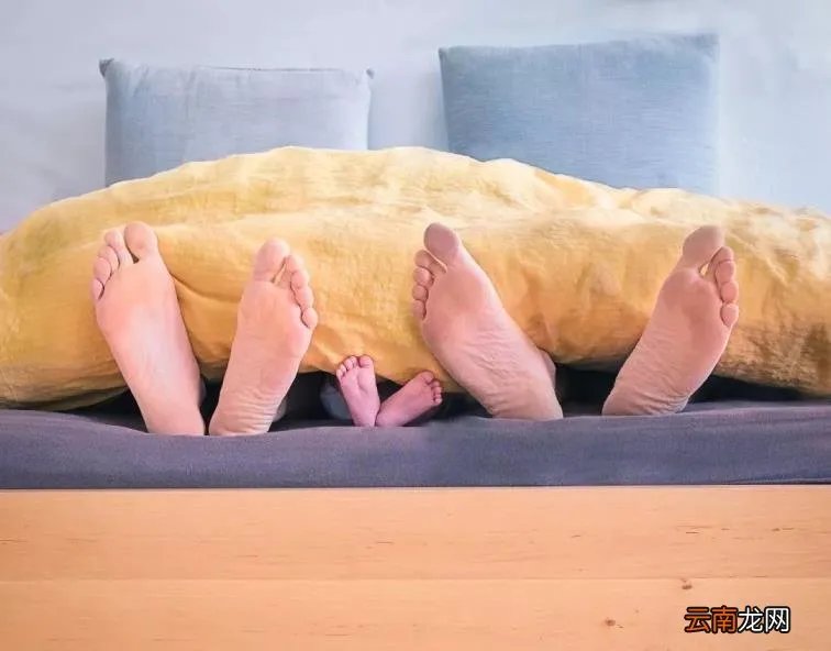 DAD是什么意思中文 dad是什么意思中文是什么意思啊