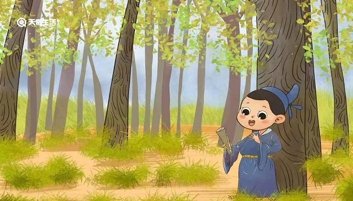 草字头有哪些字