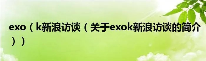 exo（k新浪访谈（关于exok新浪访谈的简介））