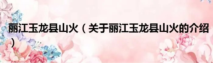 丽江玉龙县山火（关于丽江玉龙县山火的介绍）