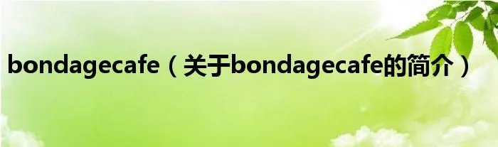 bondagecafe（关于bondagecafe的简介）