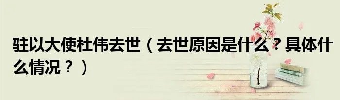 驻以大使杜伟去世(去世原因是什么?具体什么情况?)