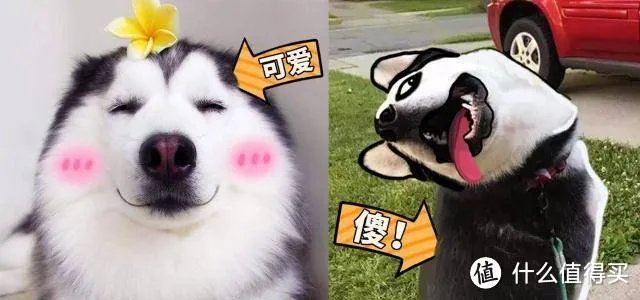 Bart字母斯慕圈什么属性?