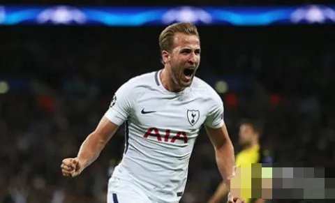 凯恩进球上诉成功了吗?